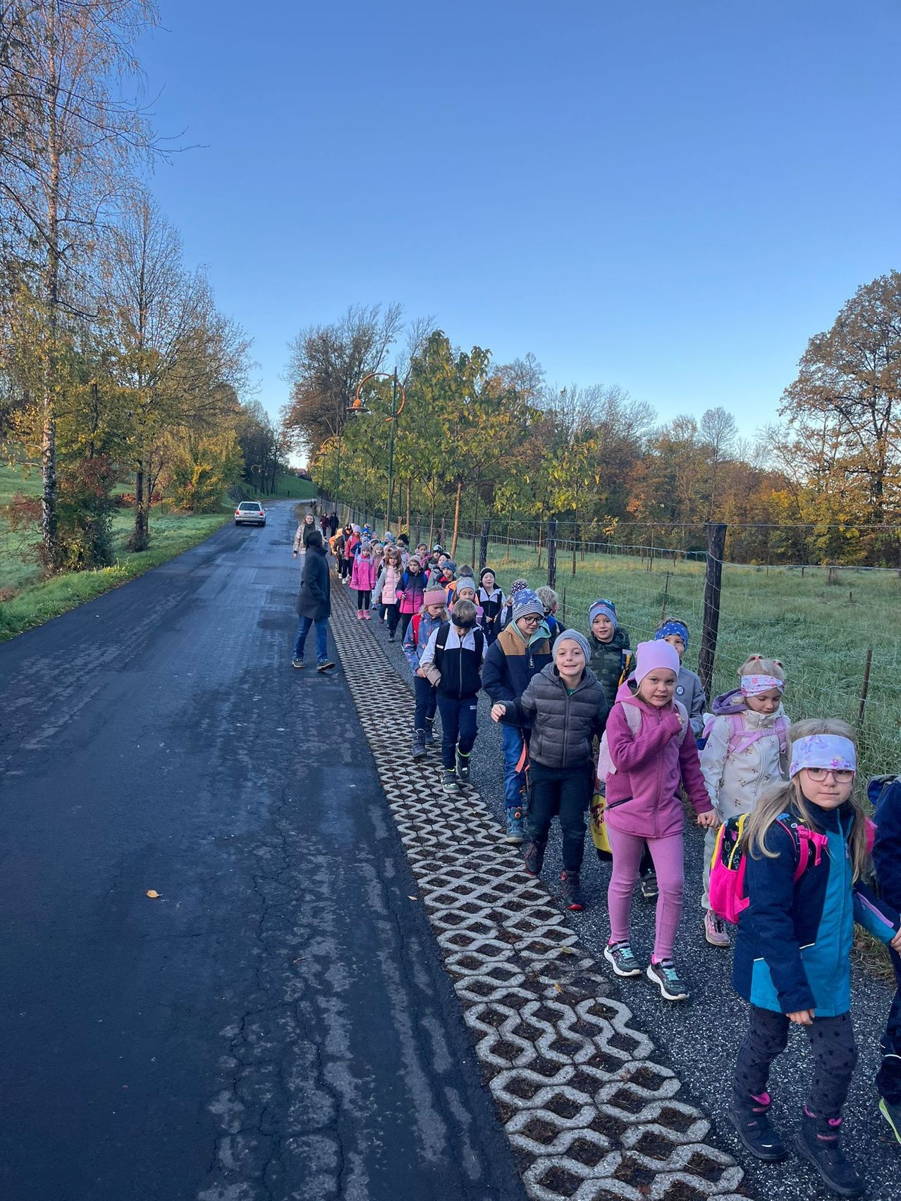 Eine Gruppe von Kindern geht an einem sonnigen Tag auf einer Straße entlang, die von Bäumen und Gras gesäumt ist. Sie tragen Winterkleidung und haben Rucksäcke dabei.