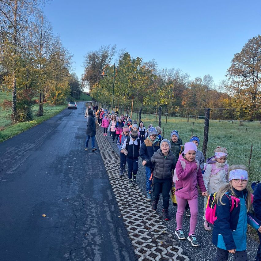 Eine Gruppe von Kindern geht an einem sonnigen Tag auf einer Straße entlang, die von Bäumen und Gras gesäumt ist. Sie tragen Winterkleidung und haben Rucksäcke dabei.