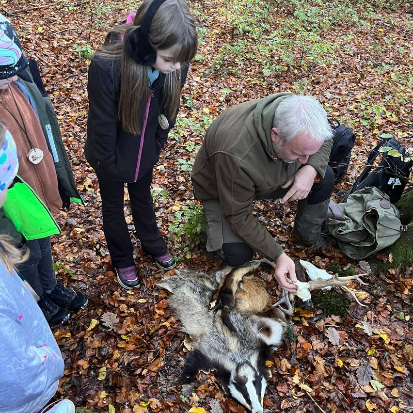 Eine Gruppe von Kindern beobachtet einen Erwachsenen, der ein totes Tier auf dem Boden in einem Wald untersucht.