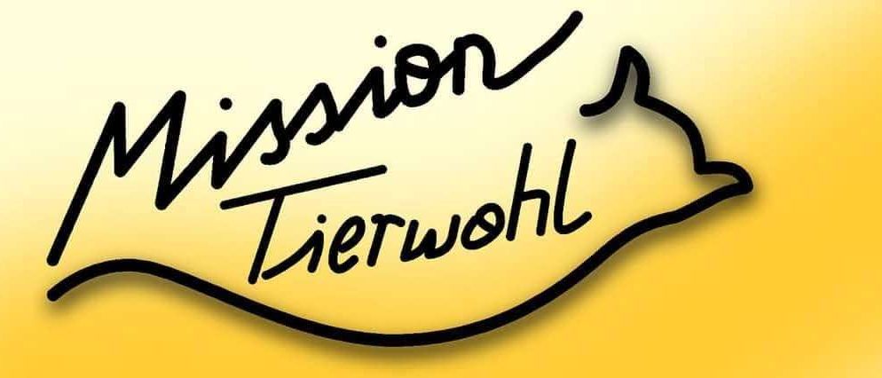 Handwriting, Text, Calligraphy