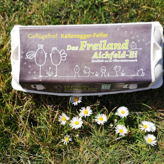 Eierkarton von Freiland Aichfeld-Ei, mit Illustrationen von zwei Hühnern und einer Familie, auf grünem Gras mit Gänseblümchen.