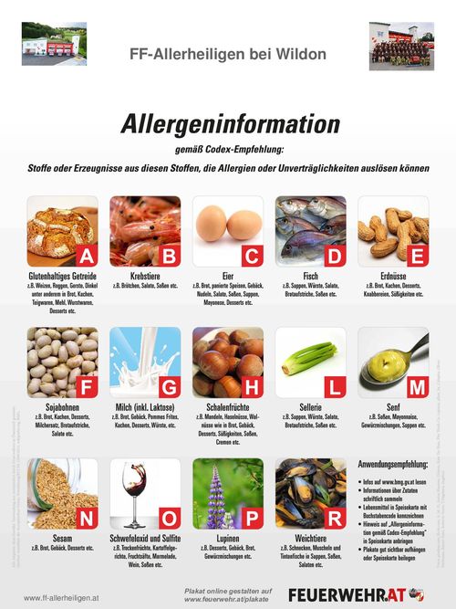 Ein Infografik zeigt Allergeninformationen auf Deutsch. Es listet Zutaten und Produkte auf, die Allergien oder Unverträglichkeiten auslösen können. Kategorien umfassen Getreide, Krebstiere, Eier, Fisch, Erdnüsse, Sojabohnen, Milch, Haselnüsse, Sellerie, Senf, Sesam und Wein. Jede Kategorie ist mit einem Buchstaben gekennzeichnet und die entsprechenden Allergene sind aufgelistet. Anwendungsempfehlungen werden ebenfalls bereitgestellt.