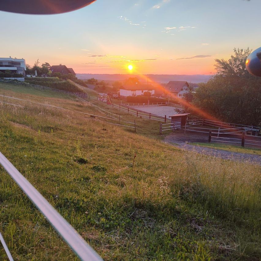 Sonnenuntergang über einer ländlichen Landschaft mit Häusern, einem Zaun und einem Grasfeld. Die Sonnenstrahlen werfen ein warmes Licht.