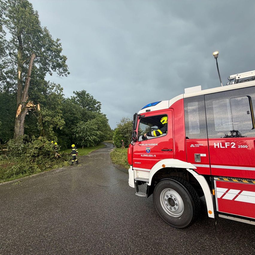 Ein Feuerwehrauto mit der Bezeichnung HLF2 2500 steht am Straßenrand mit einem umgestürzten Baum. Zwei Personen in gelben Helmen räumen die umgefallenen Äste ab.