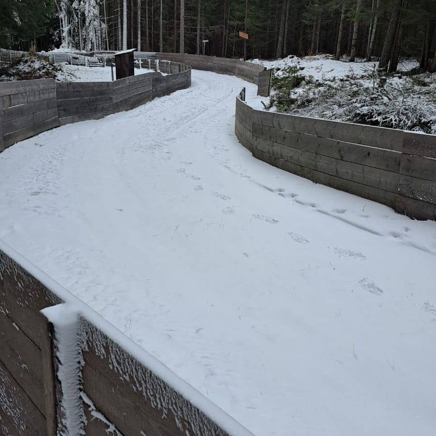 Ein schneebedeckter Pfad windet sich durch einen Wald mit hölzernen Barrieren auf beiden Seiten. Fußabdrücke sind im Schnee sichtbar.