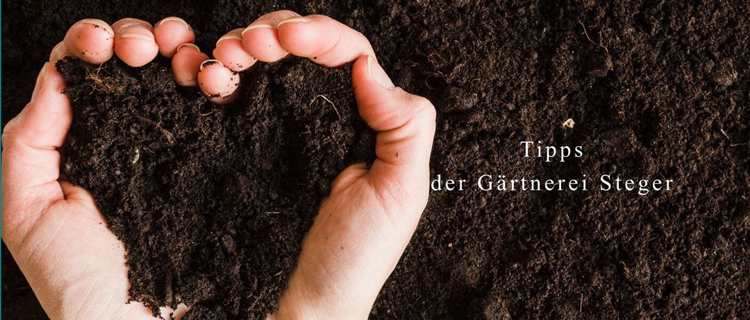Eine von Erde bedeckte Hand bildet eine Herzform. Die Worte Tipp der Gärtnerer sind in Weiß oben geschrieben.