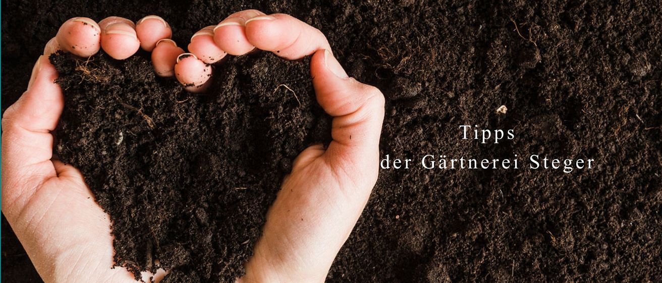 Eine von Erde bedeckte Hand bildet eine Herzform. Die Worte Tipp der Gärtnerer sind in Weiß oben geschrieben.