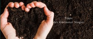 Eine von Erde bedeckte Hand bildet eine Herzform. Die Worte Tipp der Gärtnerer sind in Weiß oben geschrieben.