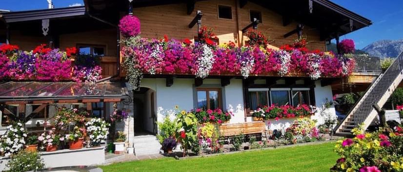 Bild enthält, Building, Housing, Villa, Grass, Hotel, Resort, Nature, Outdoors, Garden, Flower