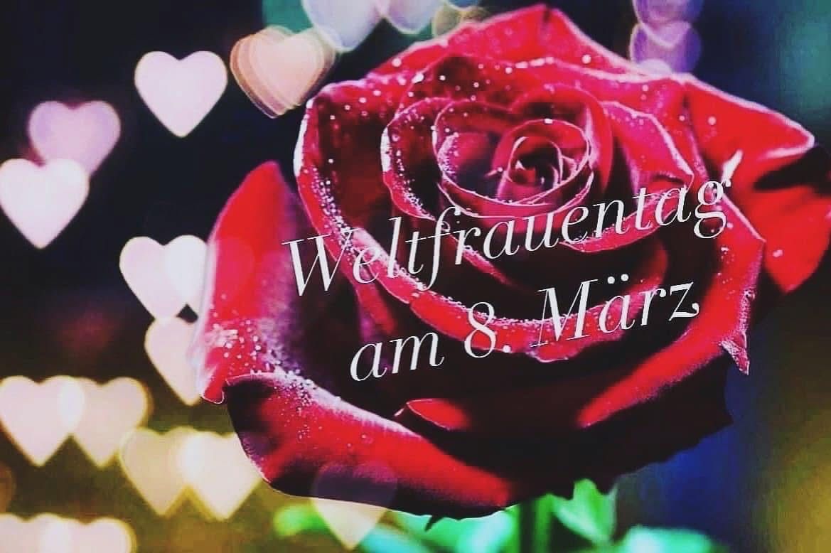 Bild enthält, Flower, Plant, Rose, Petal