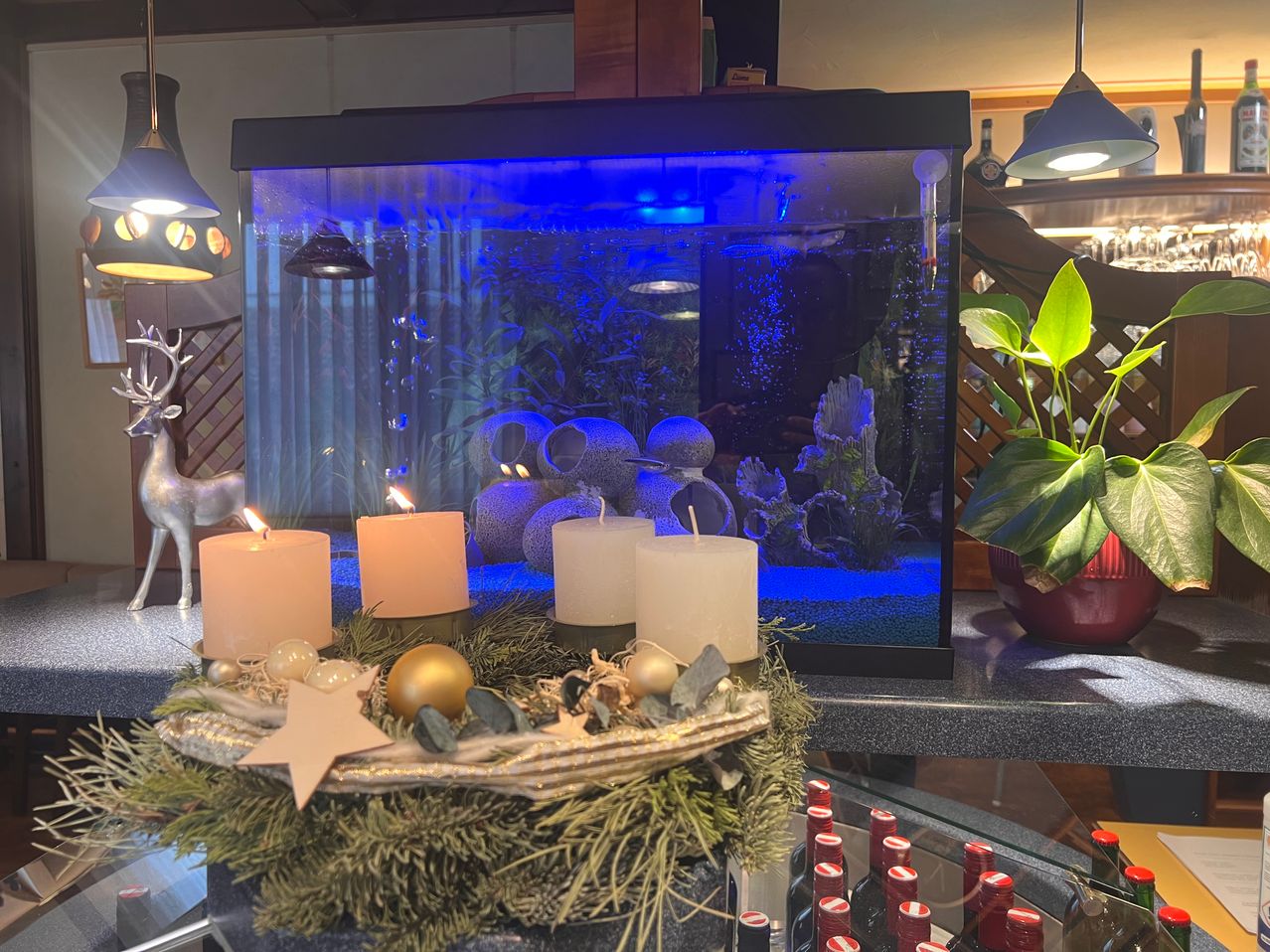 Ein Aquarium mit blauer Beleuchtung, beleuchtet von Kerzen und mit einer Girlande und Ornamenten geschmückt. Es steht auf einer Theke mit einer Pflanze und Flaschen.