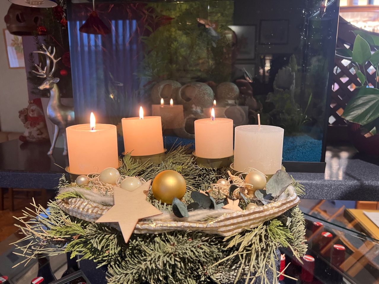 Ein festlicher Kranz mit fünf Kerzen, geschmückt mit Sternen und Ornamenten. Dahinter ein Aquarium mit Pflanzen und Steinen.