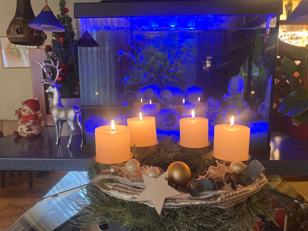 Ein Kranz mit vier brennenden Kerzen steht auf einer Arbeitsplatte mit einem Aquarium dahinter. Das Aquarium ist mit blauen Lichtern beleuchtet. Neben dem Aquarium steht ein silbernes Rentier.