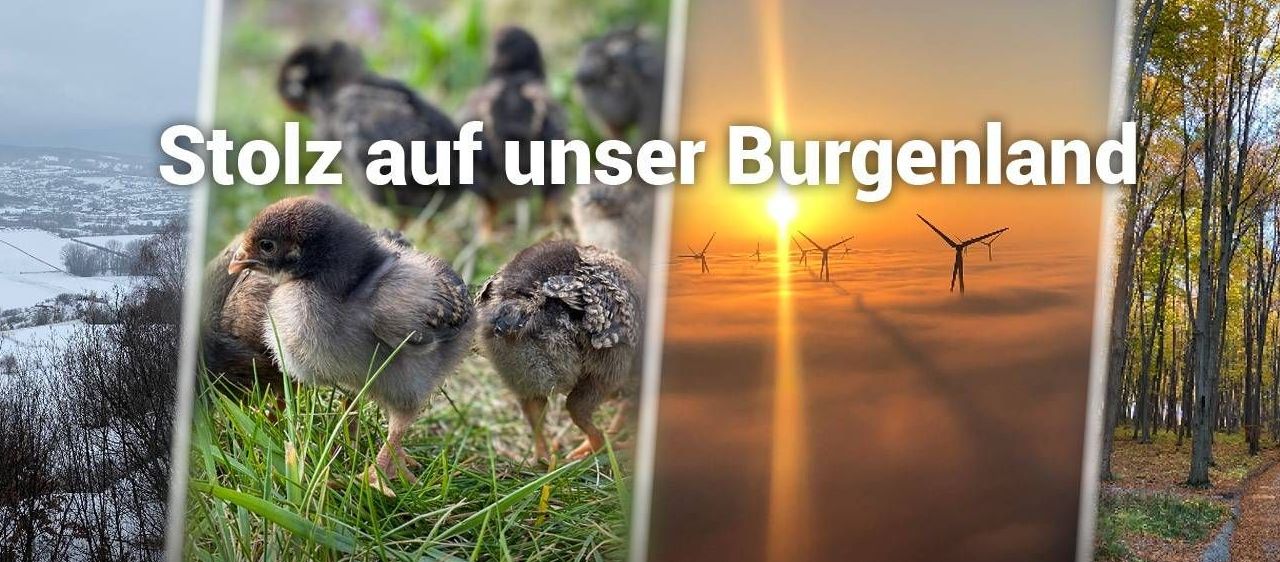 v1_migrated_image_54806616