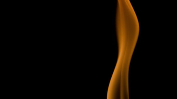 v1_migrated_image_16333157