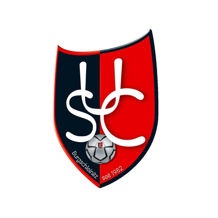 Bild enthält, Armor, Shield, Soccer Ball, Sport