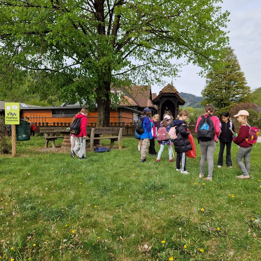 Eine Gruppe von Schülern mit Rucksäcken steht in einem Grasfeld in der Nähe einer Holzbank und eines Mülleimers. Dahinter befinden sich Gebäude und ein Baum mit grünen Blättern.