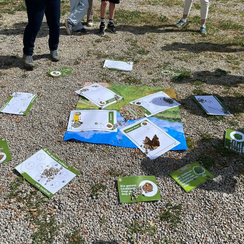 Eine Gruppe von Menschen steht auf Kies, mit verschiedenen Karten und Papieren verstreut, wahrscheinlich an einer Bildungsaktivität teilnehmend.