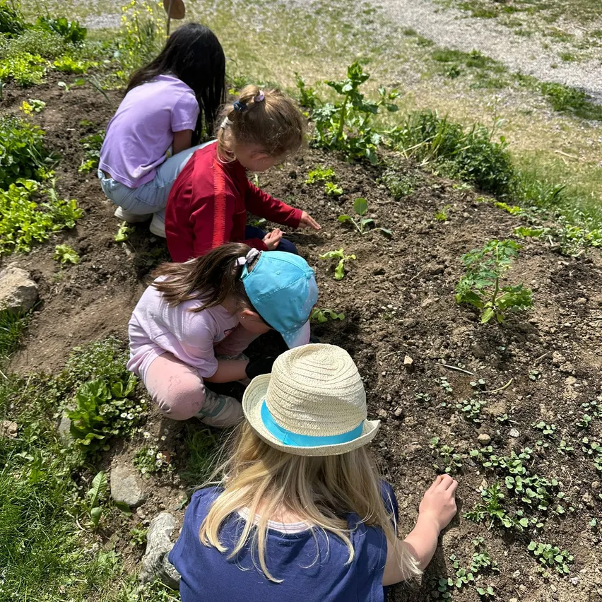 Vier junge Mädchen in Hüten arbeiten an einem kleinen Gartenbeet. Ein Mädchen trägt einen blauen Hut, ein anderes ein rotes Shirt. Sie sind von Pflanzen und Erde umgeben.