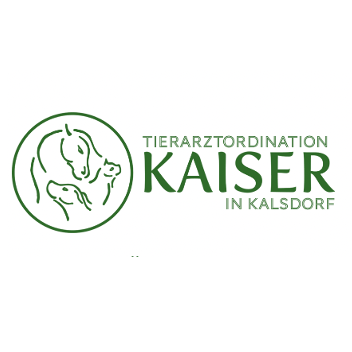 v1_migrated_image_47349719