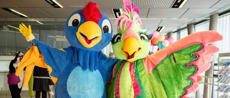 Zwei Menschen in farbenfrohen Papageikostümen stehen zusammen, einer mit einem blauen Körper und rotem Kamm, der andere mit einem grünen Körper und rosa Flügeln. Sie befinden sich in einem hell beleuchteten Innenraum mit Menschen und Luftballons im Hintergrund.