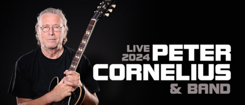 Bild enthält, Guitar, Musical Instrument, Adult, Male, Man, Person, Guitarist, Musician, Performer, Bass Guitar