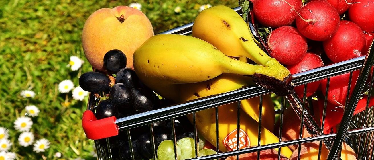 v1_migrated_image_84048781