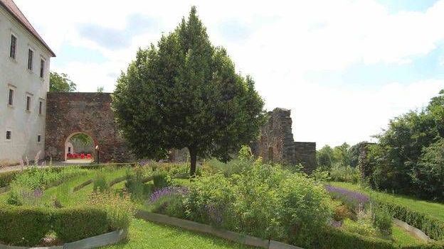 v1_migrated_image_66913829