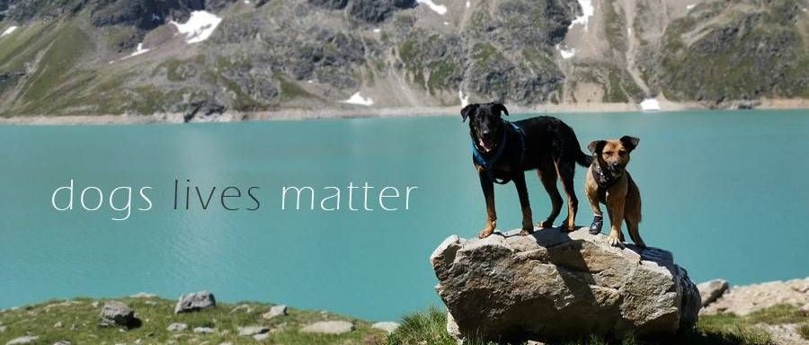 v1_migrated_image_11893690