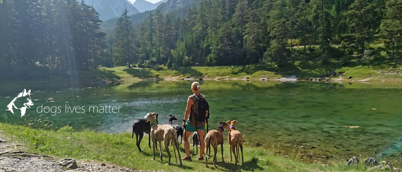 Eine Frau mit einem Rucksack und vier Hunden steht am Fluss mit Bergen im Hintergrund.