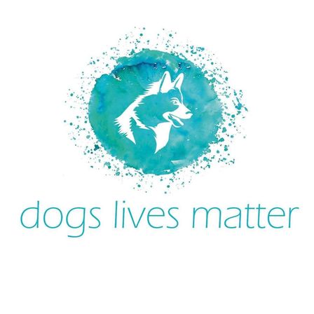 v1_migrated_image_19466839