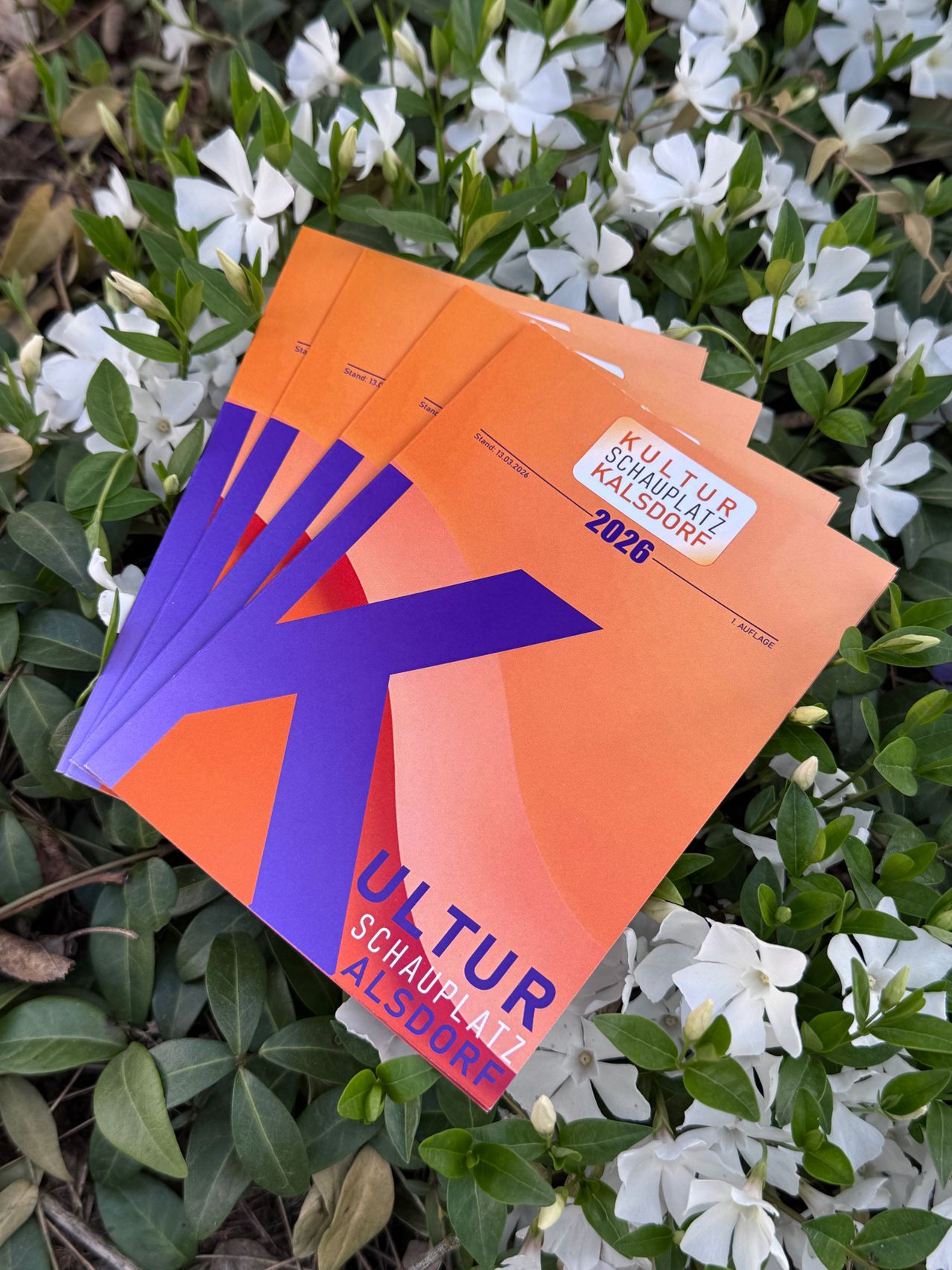 A stack of orange and purple brochures with the title 'Kultur Schauplatz Kalsdorf' lies on a bed of white flowers and green leaves. The year 2026 is printed on the front cover.
