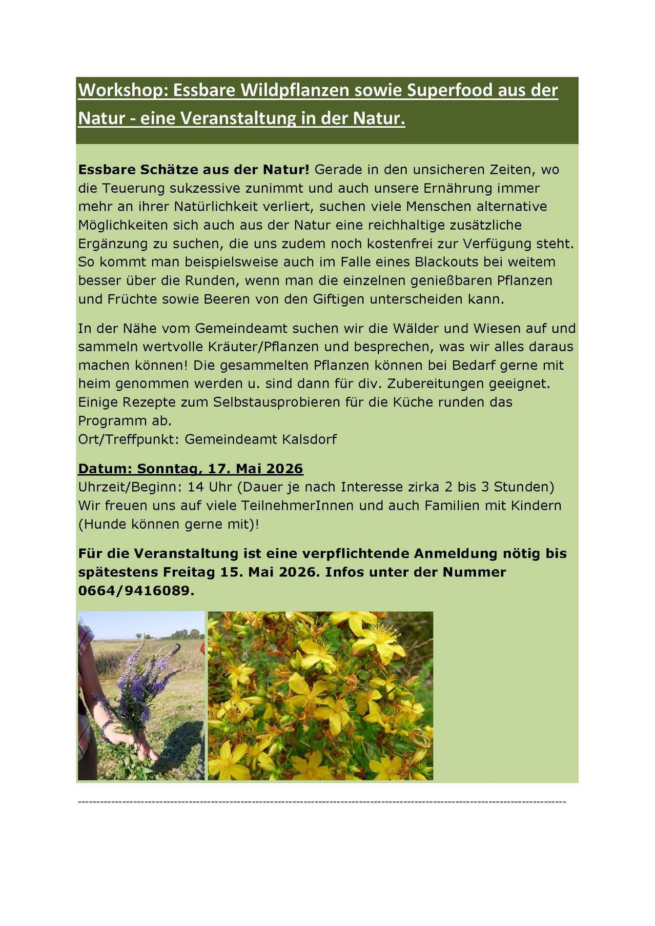 Search for edible treasures from nature! During uncertain times with rising costs and less natural food, many seek alternatives. Learn to distinguish edible plants and fruits from harmful ones. Near the town hall, we collect valuable herbs and discuss uses. Samples can be taken home for personal use. Recipes for kitchen experiments complete the program.