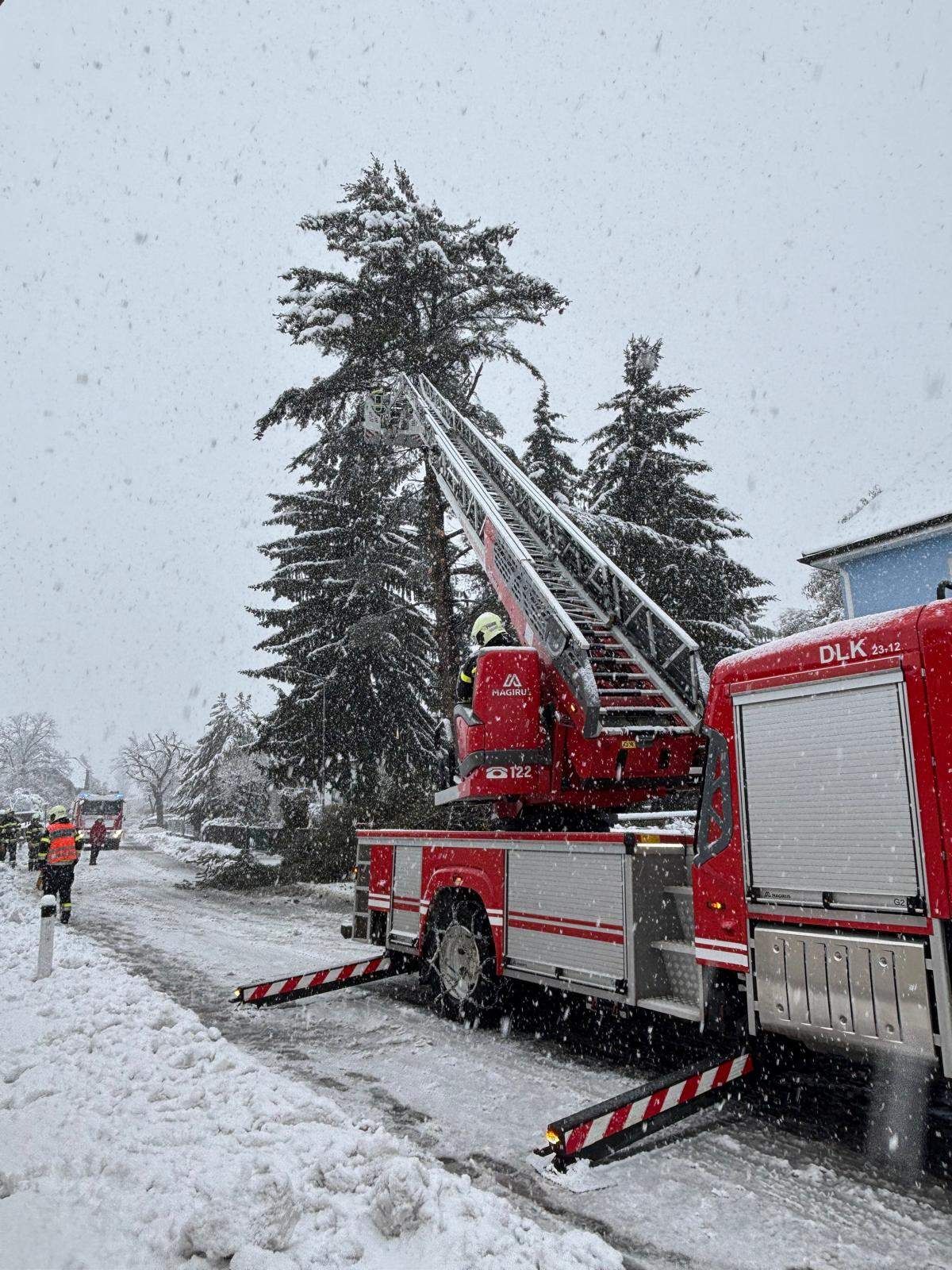 Ein roter Feuerwehrwagen ist auf einer verschneiten Straße geparkt, mit einer Leiter, die sich auf einen hohen Baum erstreckt. Ein Feuerwehrmann klettert die Leiter hoch.