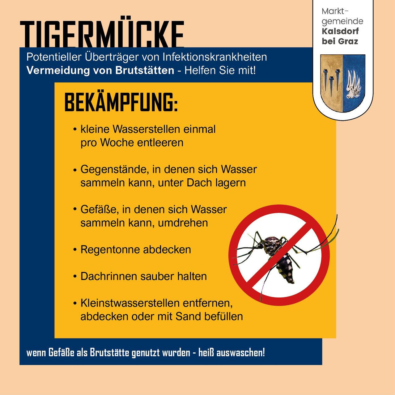 Ein Poster der Gemeinde Kalsdorf bei Graz, das vor der Prävention von Tigermücken warnt, einem potenziellen Überträger von Infektionskrankheiten. Es listet Maßnahmen wie das wöchentliche Entleeren kleiner Wasserbehälter, das Abdecken von Gegenständen, in denen sich Wasser sammeln kann, und das Reinigen von Dachrinnen auf. Es enthält auch ein No-Mücken-Symbol.