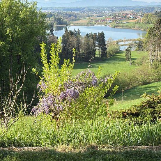 Ein Hügel mit Bäumen und Büschen blickt auf einen See mit einem kleinen Dorf und Bergen im Hintergrund.