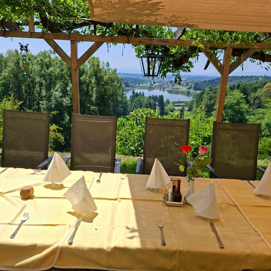 Ein Esstisch mit gelber Tischdecke und Stühlen ist unter einem Pergola mit Seeblick aufgestellt. Jeder Stuhl hat ein gefaltetes Serviettentuch und Besteck. Eine Vase mit Blumen steht in der Mitte.