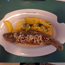 Forelle gebraten in Knoblauch-Weißwein-Sauce