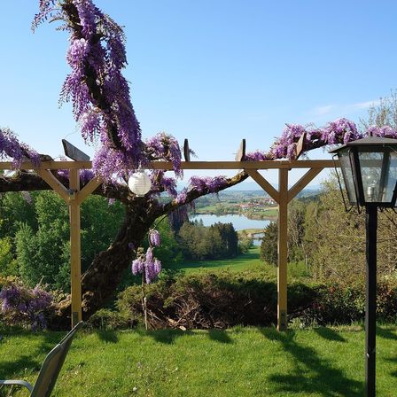 Ein Garten mit einer Holzstruktur, geschmückt mit Glyzinienblüten und einem See in der Ferne.