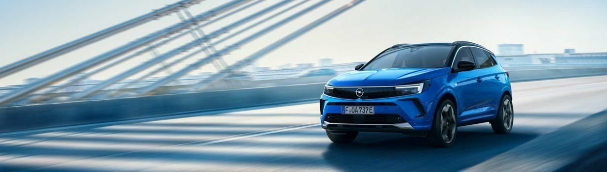 Ein blauer Opel fährt auf einer Brücke mit einem Kennzeichen, das 'F 0A 737E' liest. Der Hintergrund ist unscharf.