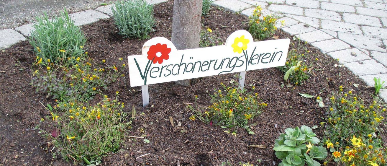 Bild enthält, Path, Walkway, Soil, Plant, Vegetation, Herbal, Garden, Outdoors, Flagstone, Road