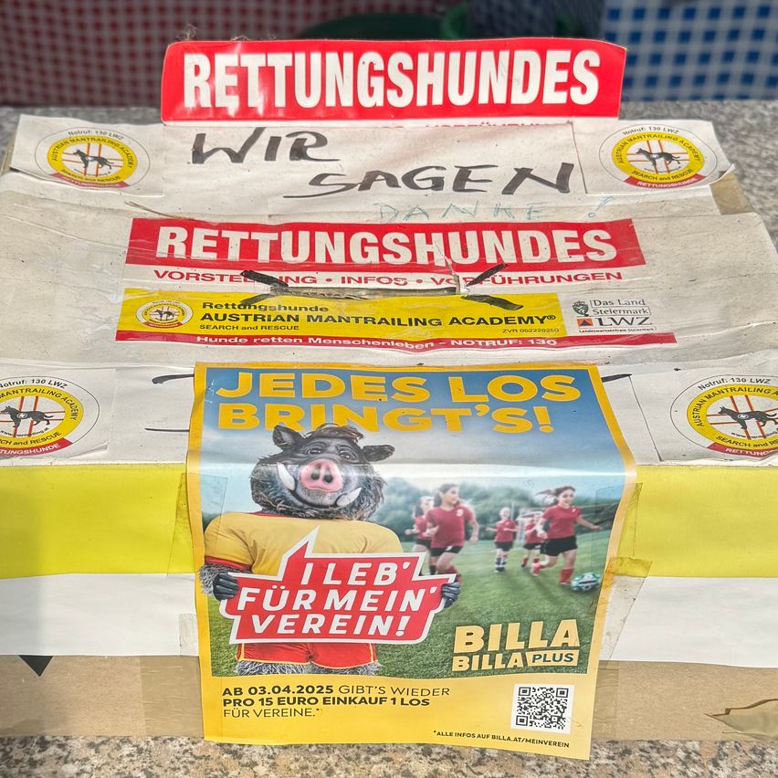 A box of leaflets promoting a rescue dog adoption campaign. The leaflets feature a pig mascot and emphasize that every dollar helps. The date is March 3, 2025.