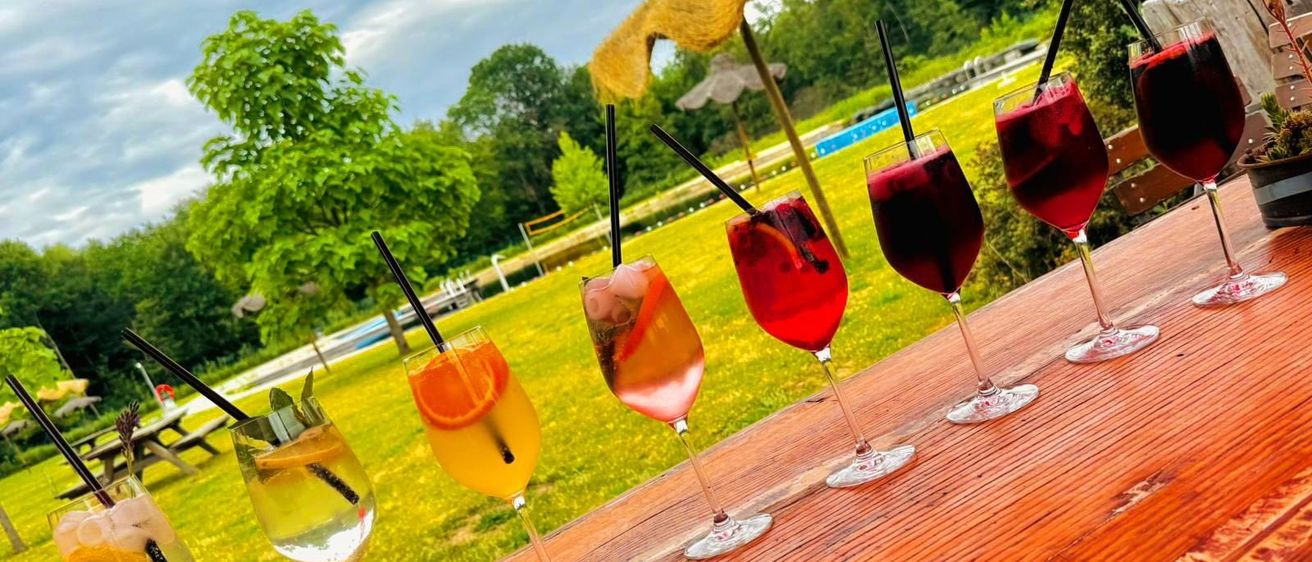 Ein Holztisch hält sechs Gläser Sommer-Spritzer mit Strohhalmen. Im Hintergrund ein Rasenfeld mit Bäumen und einem bewölkten Himmel.