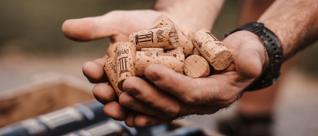 Bild enthält, Cork, Dynamite, Weapon