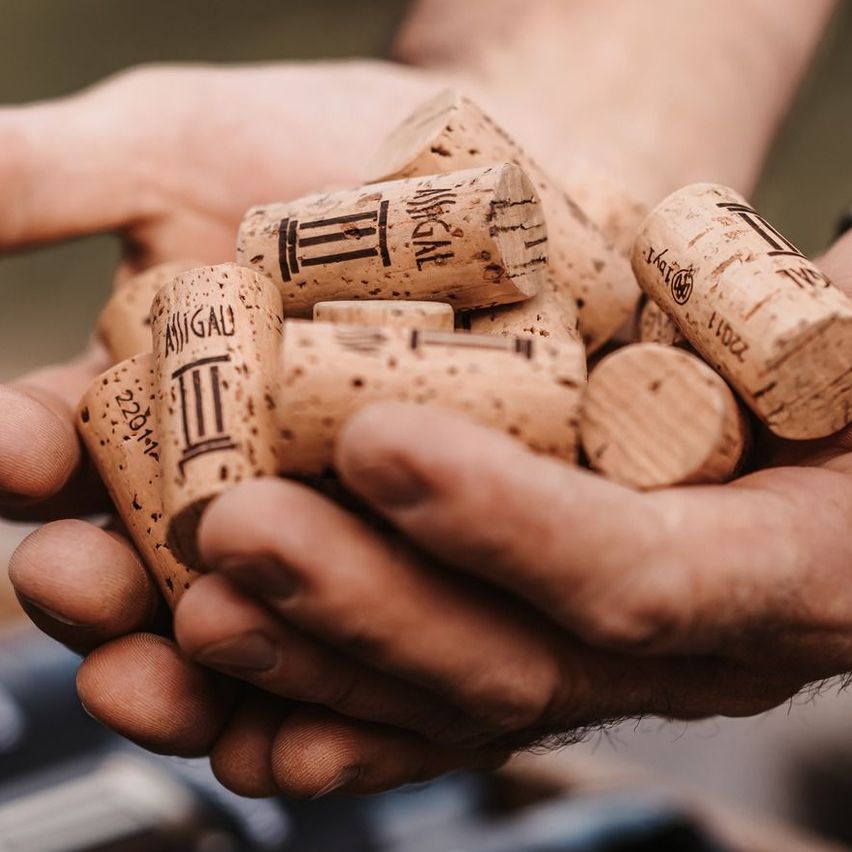 Bild enthält, Cork, Dynamite, Weapon