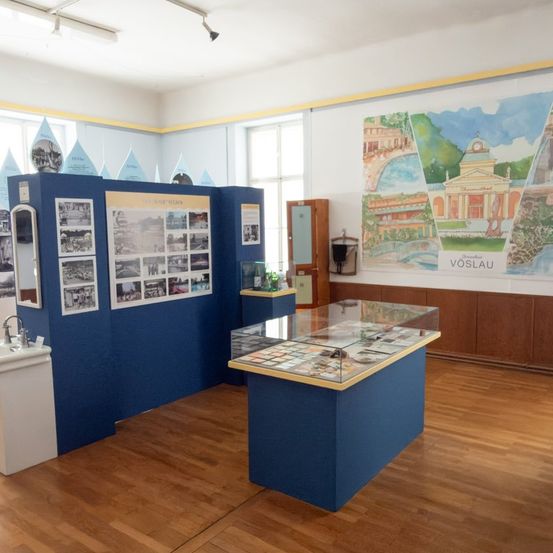 Ein Ausstellungsraum mit blauen Wänden, einem zentralen Tisch mit Glasabdeckung, einem Waschbecken und verschiedenen gerahmten Bildern und Postern. Der Raum hat Holzböden und weiße Decken.