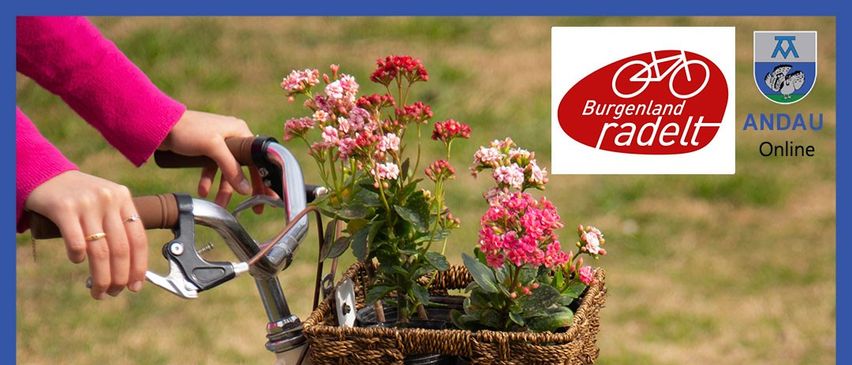 Eine Person fährt ein Fahrrad mit einem Korb voller rosa Blumen. Das Fahrrad steht auf einer grasbewachsenen Oberfläche mit blauem Hintergrund.