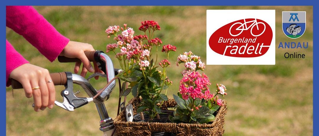 Eine Person fährt ein Fahrrad mit einem Korb voller rosa Blumen. Das Fahrrad steht auf einer grasbewachsenen Oberfläche mit blauem Hintergrund.