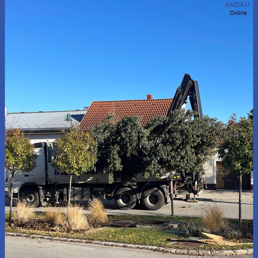 Ein Lkw mit einem Kran entfernt einen großen Baum vor einem Haus mit einem roten Dach unter einem klaren blauen Himmel.