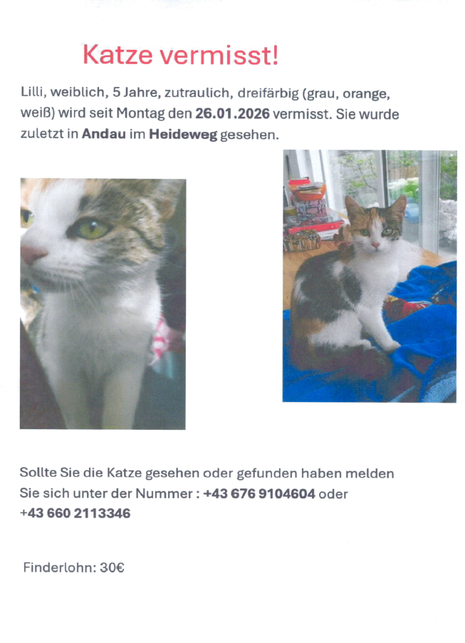 A missing cat, Lili, a 5-year-old female, is tricolor (gray, orange, white) and was last seen in Andau on Heideweg. Contact +43 676 9104604 or +43 660 2113346. Reward: 30€.